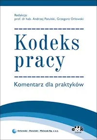 Kodeks pracy. Komentarz dla praktyków Hit cenowy