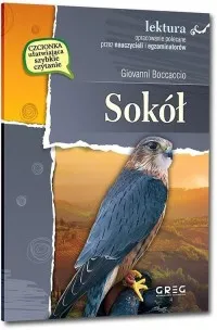 Sokół. wydanie z opracowaniem i streszczeniem Dodaj do koszyka