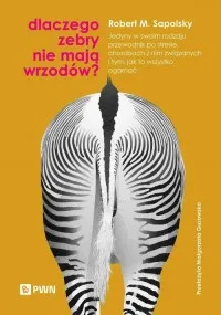 Niska cena Dlaczego zebry nie mają wrzodów? Jedyny w swoim rodzaju przewodnik po stresie, chorobach z nim związanych i tym, jak to wszystko ogar