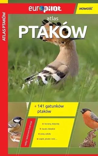 Atlas ptaków Niska cena