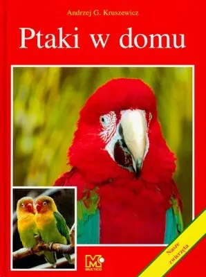 Popularny Ptaki w domu