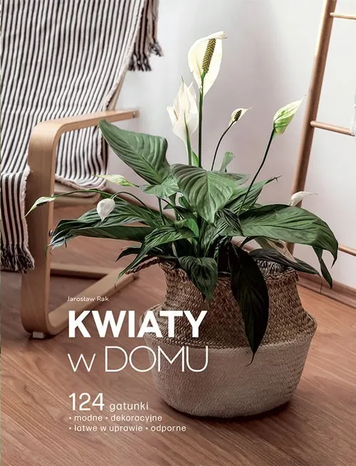 Kwiaty w domu Zniżka