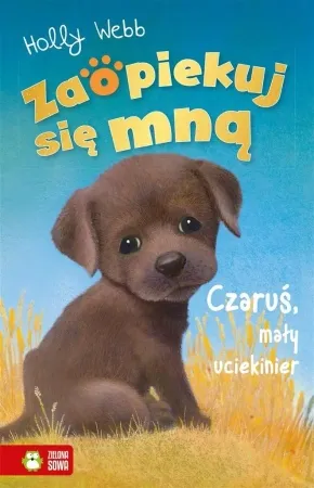 Tani Zaopiekuj się mną. Czaruś, mały uciekinier - Holly Webb