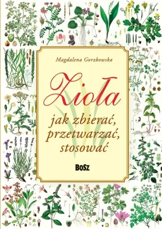 Zioła. Jak zbierać, przetwarzać, stosować - Magdalena Gorzkowska Wysoka jakość