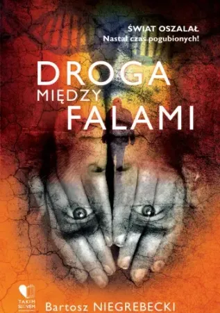Droga między falami - Bartosz Niegrebecki Niska cena